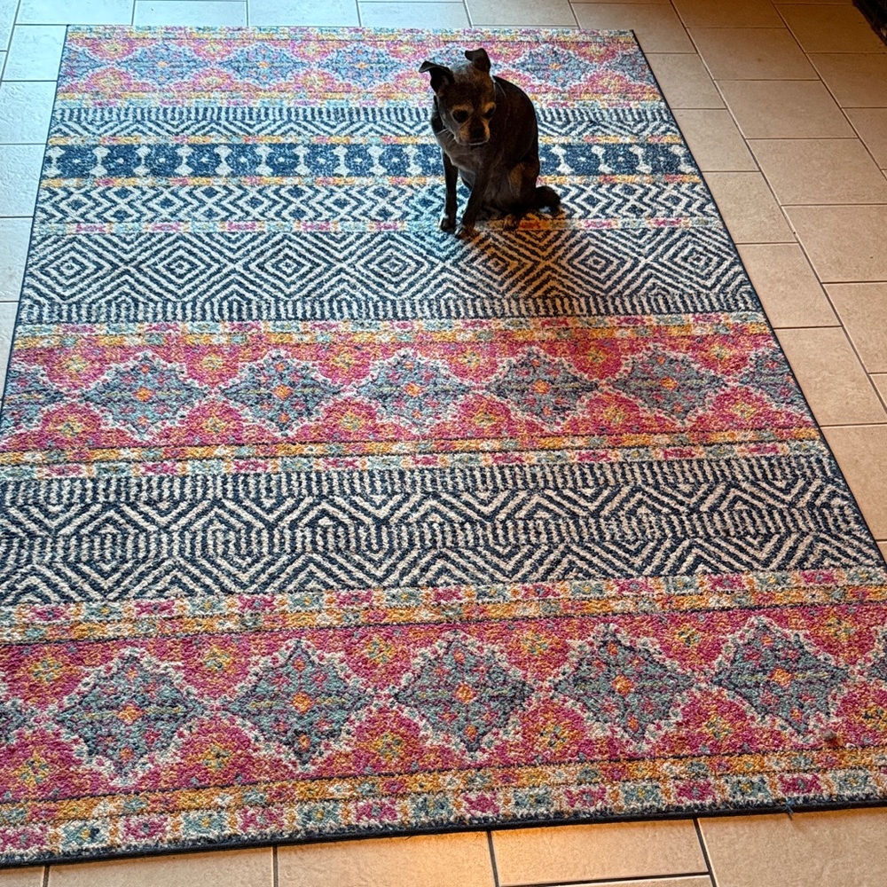 Pier 1 Tapis Rug-made in Turkey